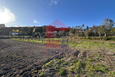 Helårsgrund i Vila Verde, Braga, Vila Verde - € 106.000 | Ref: 08849 - foto 28