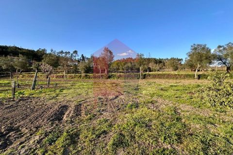 Helårsgrund i Vila Verde, Braga, Vila Verde - € 106.000 | Ref: 08849 - foto 29