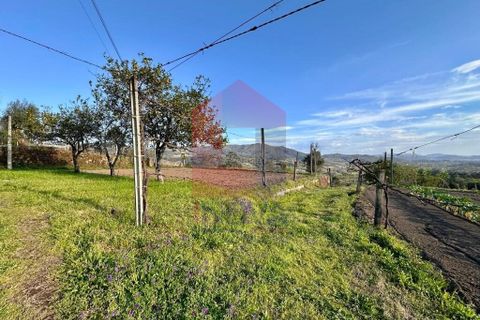 Helårsgrund i Vila Verde, Braga, Vila Verde - € 106.000 | Ref: 08849 - foto 30