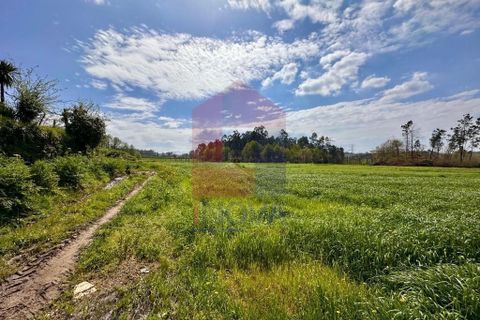 Helårsgrund i Vila Verde, Braga, Vila Verde - € 135.000 | Ref: 08851 - foto 3