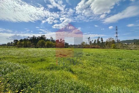 Helårsgrund i Vila Verde, Braga, Vila Verde - € 135.000 | Ref: 08851 - foto 5