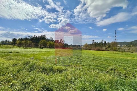 Helårsgrund i Vila Verde, Braga, Vila Verde - € 135.000 | Ref: 08851 - foto 8
