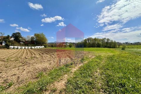 Helårsgrund i Vila Verde, Braga, Vila Verde - € 135.000 | Ref: 08851 - foto 11
