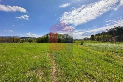 Helårsgrund i Vila Verde, Braga, Vila Verde - € 135.000 | Ref: 08851 - foto 14