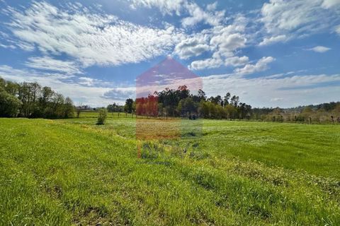 Helårsgrund i Vila Verde, Braga, Vila Verde - € 135.000 | Ref: 08851 - foto 17