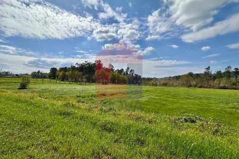 Helårsgrund i Vila Verde, Braga, Vila Verde - € 135.000 | Ref: 08851 - foto 19