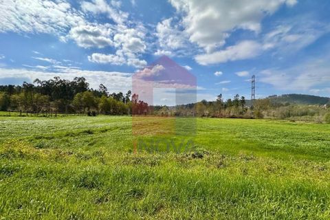 Helårsgrund i Vila Verde, Braga, Vila Verde - € 135.000 | Ref: 08851 - foto 20