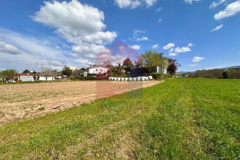 Helårsgrund i Vila Verde, Braga, Vila Verde - € 135.000 | Ref: 08851 - foto 26