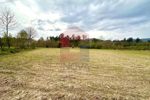 Helårsgrund i Vila Verde, Braga, Vila Verde - € 40.000 | Ref: 08852 - foto 2