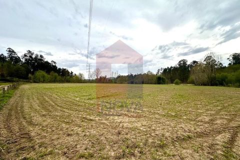Helårsgrund i Vila Verde, Braga, Vila Verde - € 40.000 | Ref: 08852 - foto 5