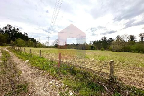 Helårsgrund i Vila Verde, Braga, Vila Verde - € 40.000 | Ref: 08852 - foto 6