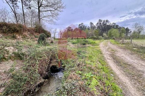 Helårsgrund i Vila Verde, Braga, Vila Verde - € 40.000 | Ref: 08852 - foto 7