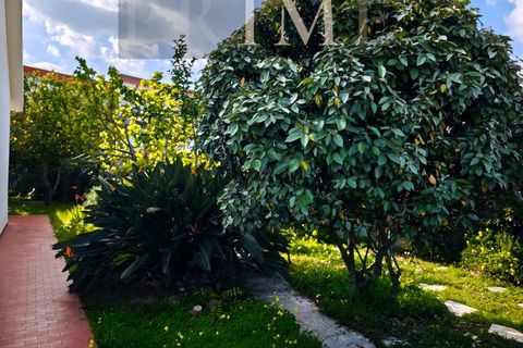 Villa a Setubal, Setubal, Setubal - € 2.750/mes | Ref: AP004.47 - foto 9