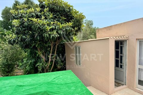 Villa i Moncarapacho, Faro, Moncarapacho - € 494.000 | Ref: 260010 - foto 21