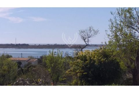 Villa i Moncarapacho, Faro, Moncarapacho - € 494.000 | Ref: 260010 - foto 22