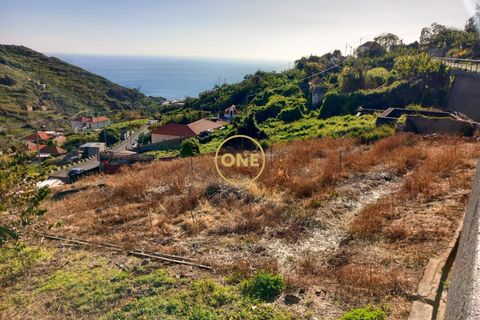 Helårsgrund i Ribeira Brava, Madeira, Ribeira Brava - € 160.000 | Ref: ONE362015-1 - foto 4