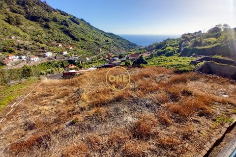 Helårsgrund i Ribeira Brava, Madeira, Ribeira Brava - € 160.000 | Ref: ONE362015-1 - foto 5