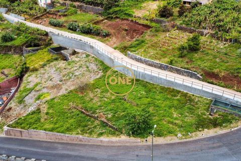 Helårsgrund i Ribeira Brava, Madeira, Ribeira Brava - € 160.000 | Ref: ONE362015-1 - foto 12