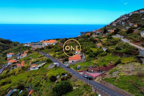 Helårsgrund i Ribeira Brava, Madeira, Ribeira Brava - € 160.000 | Ref: ONE362015-1 - foto 13