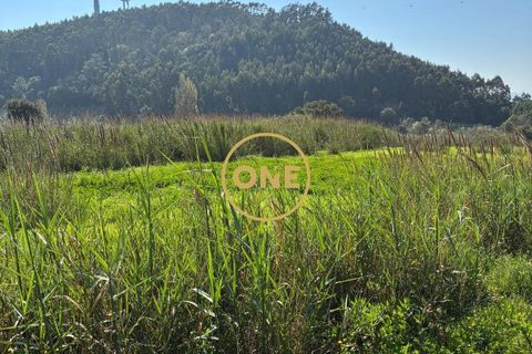 Helårsgrund i Torres Vedras, Lisbon, Torres Vedras - € 220.000 | Ref: ONE421865-2 - foto 2