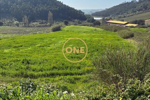 Helårsgrund i Torres Vedras, Lisbon, Torres Vedras - € 220.000 | Ref: ONE421865-2 - foto 19