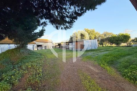 Villa i Amora, Setubal, Amora - € 680.000 | Ref: CAS_217 - foto 34