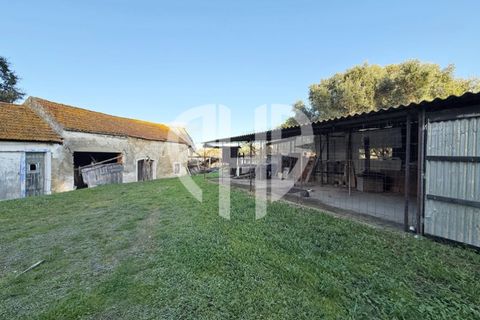 Villa i Amora, Setubal, Amora - € 680.000 | Ref: CAS_217 - foto 36