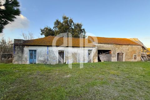 Villa i Amora, Setubal, Amora - € 680.000 | Ref: CAS_217 - foto 37