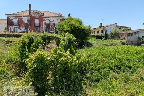 Villa a Santa Comba Dao, Viseu, Santa Comba Dao - € 250.000 | Ref: CAS_257RSKWPT-024071 - foto 32
