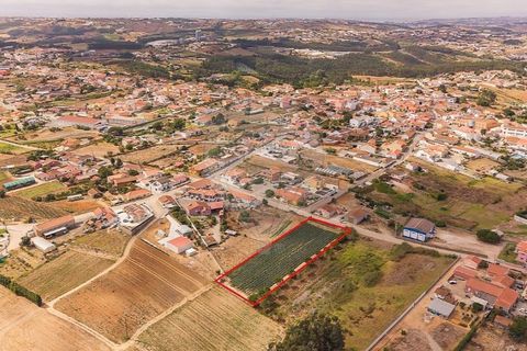 Helårsgrund i Torres Vedras, Lisbon, Torres Vedras - € 239.000 | Ref: 121701472-29 - foto 5