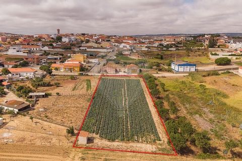 Helårsgrund i Torres Vedras, Lisbon, Torres Vedras - € 239.000 | Ref: 121701472-29 - foto 2