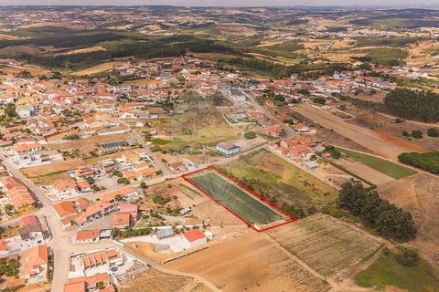 Helårsgrund i Torres Vedras, Lisbon, Torres Vedras - € 239.000 | Ref: 121701472-29 - foto 14