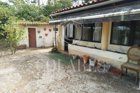 Villa i Almocageme, Lisbon, Almocageme - € 345.000 | Ref: 202603127 - foto 4