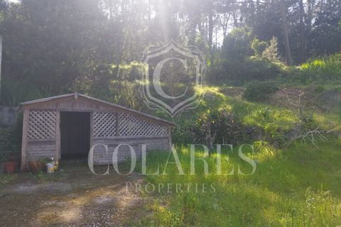 Villa i Almocageme, Lisbon, Almocageme - € 345.000 | Ref: 202603127 - foto 11