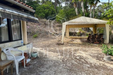 Villa i Almocageme, Lisbon, Almocageme - € 345.000 | Ref: 202603127 - foto 12
