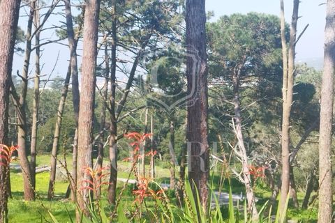 Villa i Almocageme, Lisbon, Almocageme - € 345.000 | Ref: 202603127 - foto 21