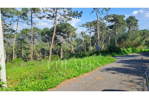 Villa i Almocageme, Lisbon, Almocageme - € 345.000 | Ref: 202603127 - foto 23