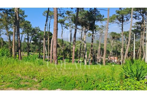 Villa i Almocageme, Lisbon, Almocageme - € 345.000 | Ref: 202603127 - foto 24