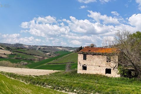 Landejendom i Ripatransone, Ascoli Piceno, Ripatransone - € 68.000 | Ref: 34065 - foto 3