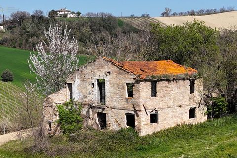 Landejendom i Ripatransone, Ascoli Piceno, Ripatransone - € 68.000 | Ref: 34065 - foto 4