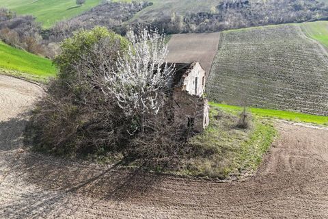 Landejendom i Ripatransone, Ascoli Piceno, Ripatransone - € 68.000 | Ref: 34065 - foto 6