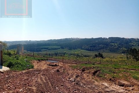 Villa i Caldas da Rainha, Leiria, Caldas da Rainha - € 399.000 | Ref: SCL1074 - foto 4