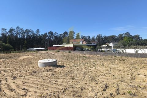 Helårsgrund i Ponte de Lima, Viana do Castelo, Ponte de Lima - € 90.000 | Ref: SG-0105 - foto 4