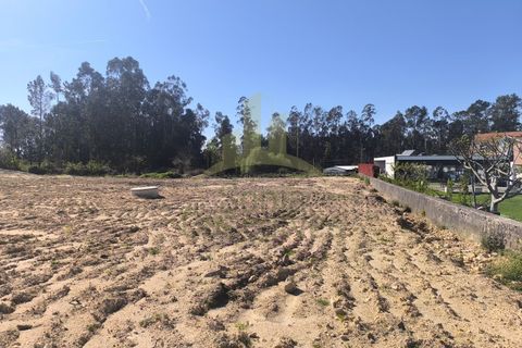 Helårsgrund i Ponte de Lima, Viana do Castelo, Ponte de Lima - € 90.000 | Ref: SG-0105 - foto 5