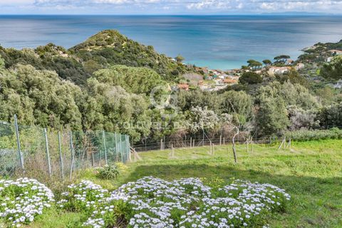 Villa a Marciana, Livorno, Marciana - € 740.000 | Ref: CBI123-1588-245 - foto 4