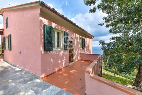 Villa a Marciana, Livorno, Marciana - € 740.000 | Ref: CBI123-1588-245 - foto 23