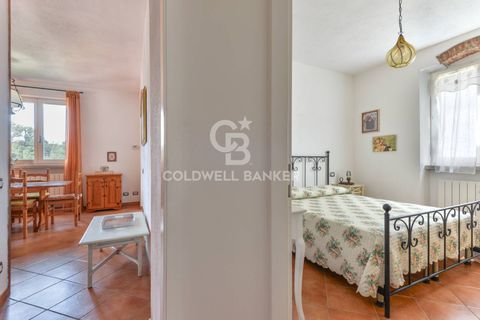 Villa a Marciana, Livorno, Marciana - € 740.000 | Ref: CBI123-1588-245 - foto 31