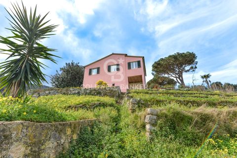 Villa a Marciana, Livorno, Marciana - € 740.000 | Ref: CBI123-1588-245 - foto 32