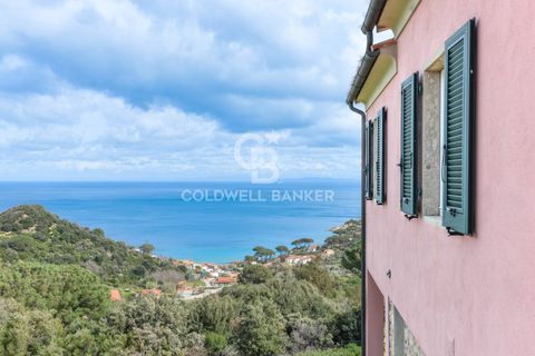 Villa a Marciana, Livorno, Marciana - € 740.000 | Ref: CBI123-1588-245 - foto 33