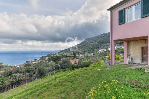 Villa a Marciana, Livorno, Marciana - € 740.000 | Ref: CBI123-1588-245 - foto 34